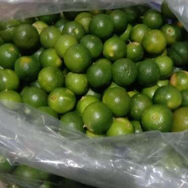 jeruk sonkit jeruk kunci lemon cui 250g