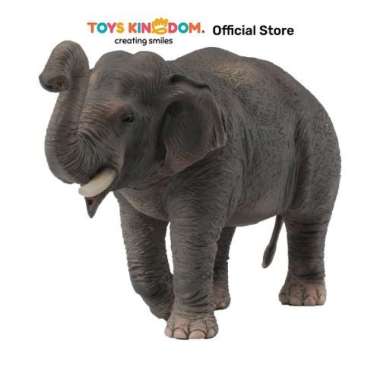 collecta mainan asian elephant