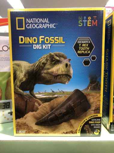 national geographic dino fossil
