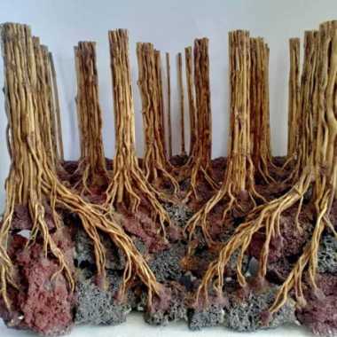 Hardscape aquascape tema jungle Multicolor