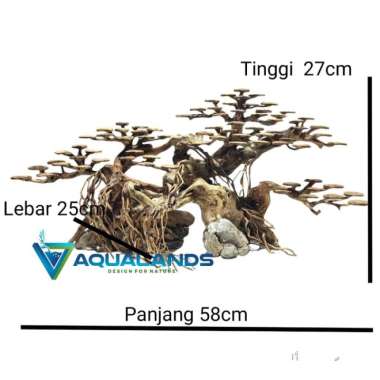 Bonsai / pohon aquascape Multicolor