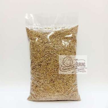 MAKANAN BURUNG GABAH BANGKOK MURAH COCOK UNTUK BURUNG PARUH BENGKOK