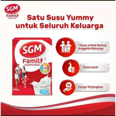 SGM FAMILY YUMMI NUTRI 330 GR VANILLA