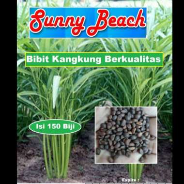 Bibit Kangkung Berkualitas Kemasan Perbungkus|Benih Kangkung|Kangkung