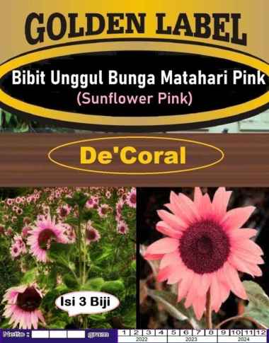 Bibit Unggul Bunga Matahari Pink|Bibit Sunflower Pink|Benih Sunflower