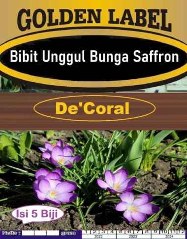 Bibit Unggul Bunga Saffron|Benih Bunga Safron|Bunga Pacar|Bunga Sapron