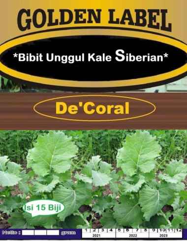 Bibit Unggul Kale Siberian | Benih Kale Siberian | Bibit Kale Siberian