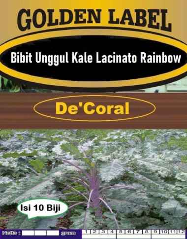 Bibit Unggul Kale Lacinato Rainbow | Biji Benih Kale Lacinato Rainbow