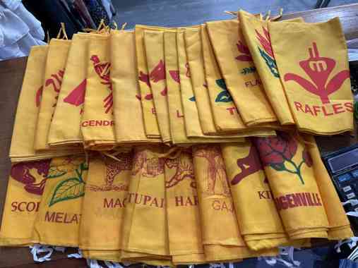 CICICI2 Bendera Regu Pramuka Perlengkapan Sekolah Garuda