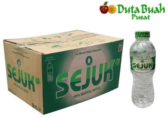 DUTA BUAH AIR SEJUK 330ML
