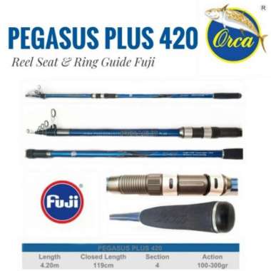 JORAN PANCING CARBON SURF ORCA PEGASUS PLUS 420 FULL FUJI