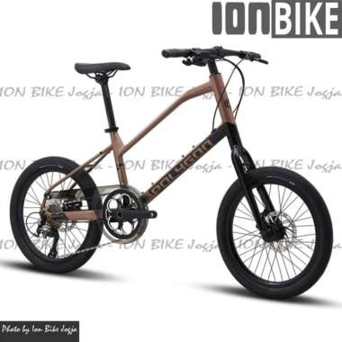 Sepeda Polygon 20 Zeta 2 T Sepeda Mini Velo Minivelo Gili Terbaru Blue Purple