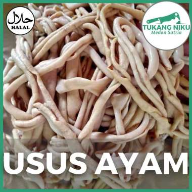 USUS AYAM MENTAH - REBUS HALAL JEROAN POTONG FRESH FROZEN SEGAR BEKU BEKASI KG GR GRAM 1 kg