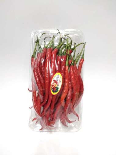 CABE MERAH KERITING KERING