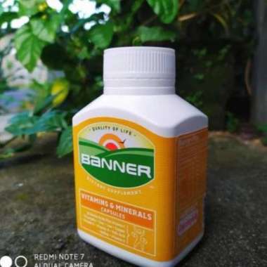 BANNER PLUS GOLD KECIL VITAMIN SUPLEMEN JAMU AYAM BANGKOK ADUAN