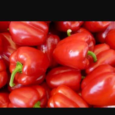 Sayur paprika merah / paprika kuning / paprika hijau Paprika Merah - 1 kg