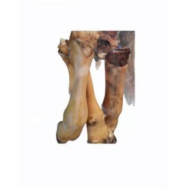 Kaki Sapi Segar 1 buah