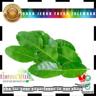 daun jeruk /daun jeruk nipis / daun jeruk purut / fresh 10lb
