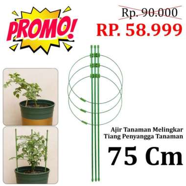 ajir tanaman melingkar/rak penyangga tanaman merambat 75 cm Multicolor