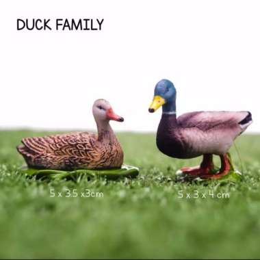 montessori cultural farm animal duck