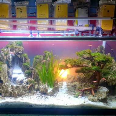 aquascape fullset air terjun bonsai custom Multicolor