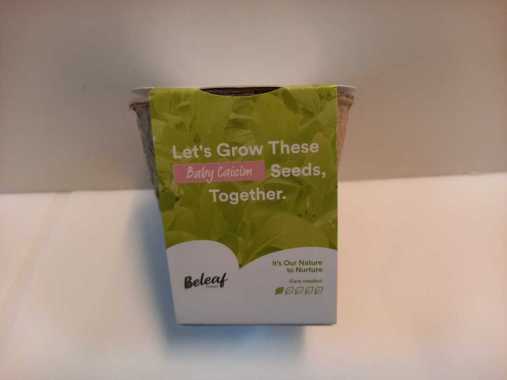 CAISIM BABY POT ( BELEAF )