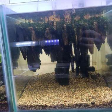 Aquarium Aquascape Mini Avatar 30x25x30 cm # 1