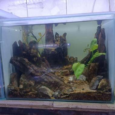 Aquarium Aquascape Mini Natural 30x25x30 cm # 1