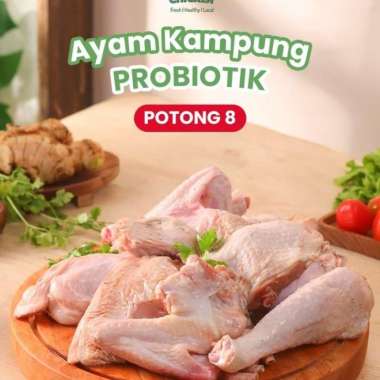 AYAM KAMPUNG PROBIOTIK 800 GRAM/AYAM KAMPUNG ASLI/LEMBUT&CEPAT MATANG POTONG 8