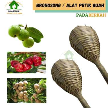 Alat Pemetik Buah Alat Bantu Petik Buah Bahan Bambu Brongsong Bambu