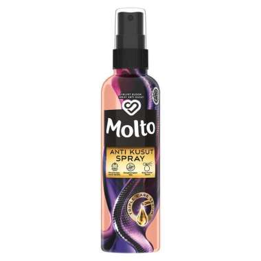 MOLTO ANTI KUSUT SPRAY 100ML