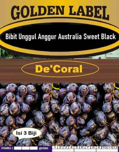 Bibit Anggur Australia Sweet Black | Biji Benih Anggur Australia