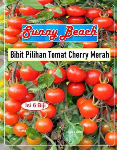Bibit Pilihan Tomat Cherry Merah|Benih Tomat Ceri|Bibit Tomat Cery