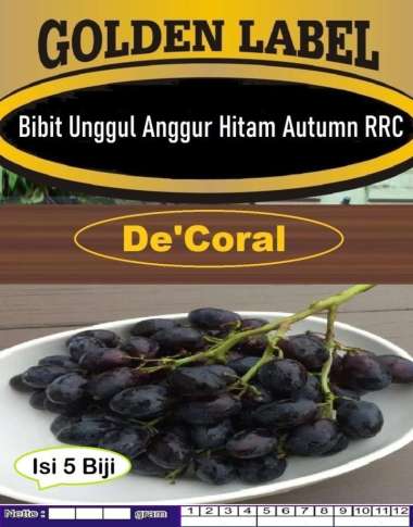 Bibit Unggul Anggur Hitam Autumn RRC|Biji Benih Anggur Autumn RRC