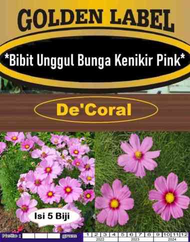 Bibit Unggul Bunga Kenikir Pink|Benih Bunga Cosmos Pink|Bibit Kenikir