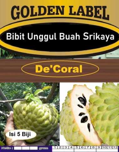 Bibit Unggul Buah Srikaya | Biji Benih Srikaya | Biji Bibit Srikaya