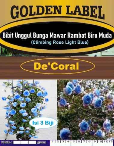 Bibit Unggul Bunga Mawar Rambat Biru Muda|Benih Mawar Rambat Biru Muda