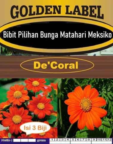 Bibit Unggul Bunga Matahari Meksiko|Matahari Merah|Sunflower Meksiko
