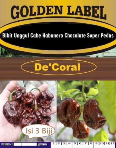 Bibit Unggul Cabe Chocolate Habanero | Biji Benih Cabe Coklat Habanero
