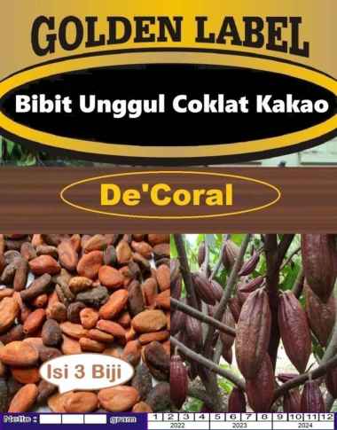 Bibit Unggul Coklat Kakao|Benih Coklat | Bibit Kakao|Bibit Biji Coklat