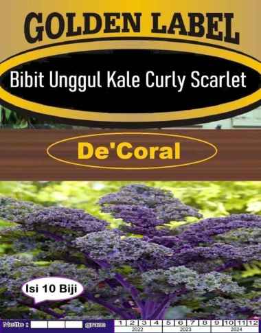 Bibit Unggul Kale Curly Scarlet|Benih Kale Curly Scarlet|Kale Scarlet