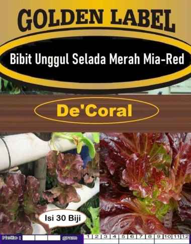 Bibit Unggul Selada Mia Red|Benih Selada Mia Merah|Selada Merah