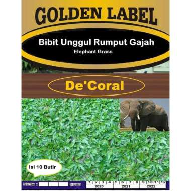 Bibit Unggul Rumput Gajah Elephant Grass | Benih Rumput Gajah
