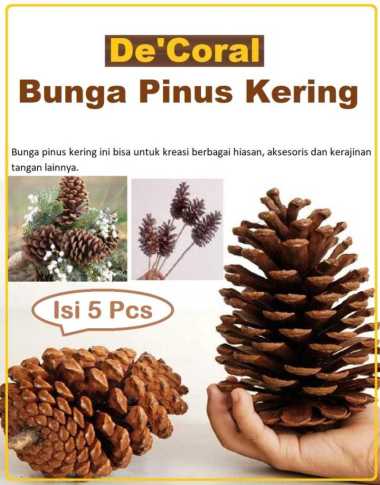 Bunga Pinus Kering Untuk Kreasi Hiasan | Bunga Kering Pinus