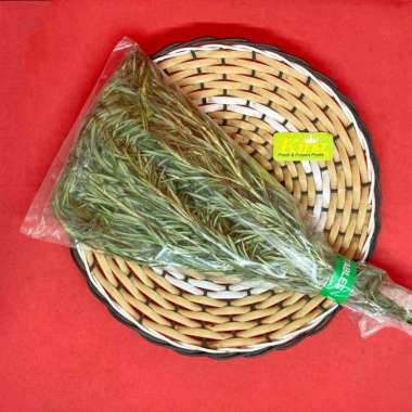 Daun rosemary, daun rosemary segar, daun rosemary fresh