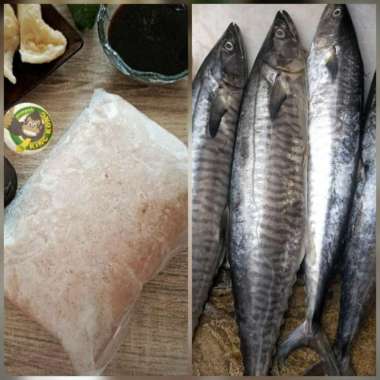 Ikan Tenggiri/Tenggiri Giling Segar/Tenggiri Giling Super Murni 100% Premium