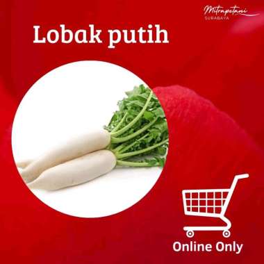 Sayur lobak, sayur lobak putih segar, lobak putih