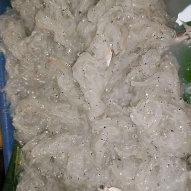 teri medan basah