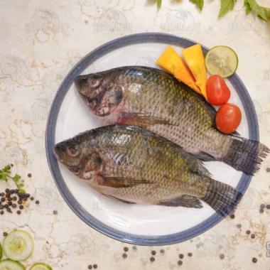 Ikan Mujair | Fresh Frozen & Segar Dibersihkan