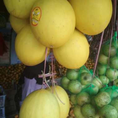Melon Golden Manis Segar